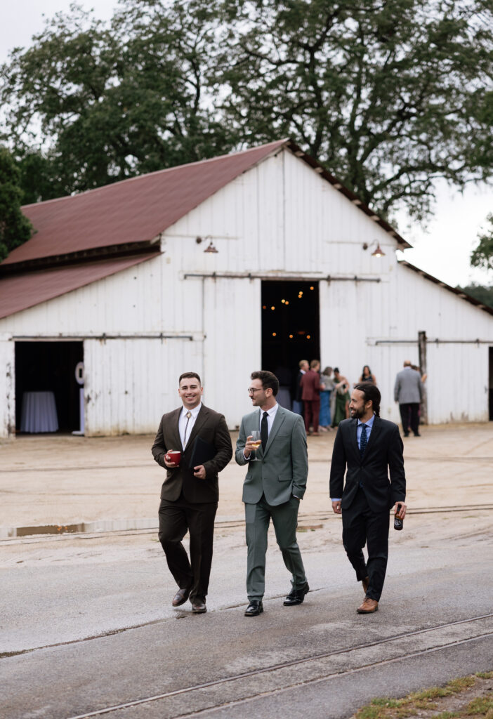 Three wedding guests walking toward the Halter Ranch barn with drinks